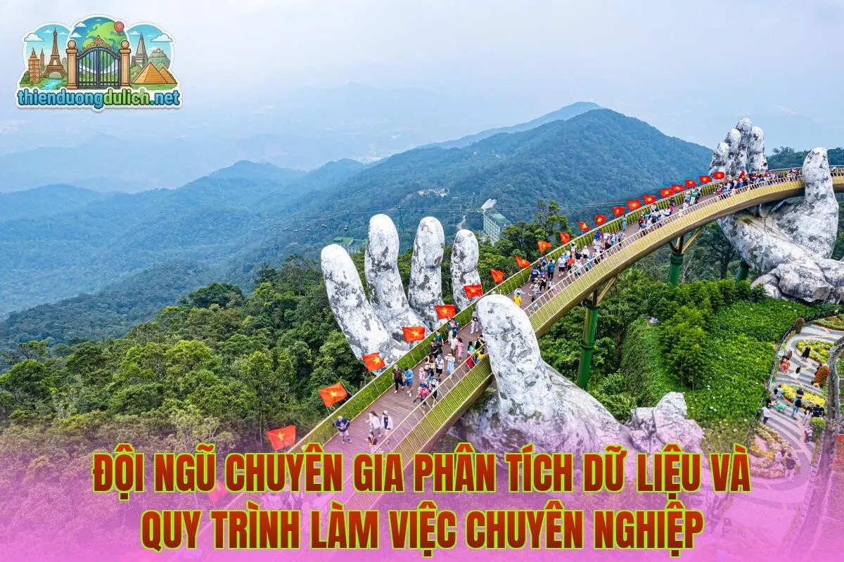 Đội ngũ chuyên gia phân tích dữ liệu và quy trình làm việc chuyên nghiệp